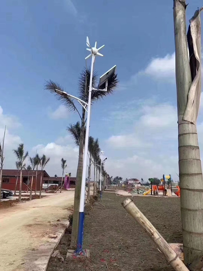 海南7米风光互补太阳能路灯.jpg